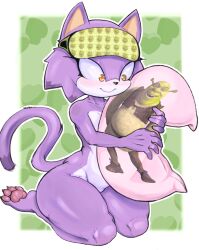 Rule 34 | 1girl, animal ears, blaze the cat, body pillow, cat ears, cat girl, cat tail, colono, crossover, furry, furry female, highres, kneeling, pawpads, pillow, purple fur, shrek, shrek (series), sleep mask, solo, sonic (series), tail, thick thighs, thighs, wide hips