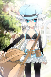 Rule 34 | animal ears, aqua eyes, arm warmers, bag, bare shoulders, belt, black pantyhose, cabbie hat, clenched hand, collarbone, frills, hair between eyes, hat, holding, lowres, midriff, pantyhose, paper, satchel, short hair, shorts, solo, sword girls, tree, white hair