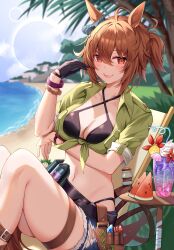 Rule 34 | 1girl, agnes tachyon (lunatic lab) (umamusume), agnes tachyon (umamusume), ahoge, animal ears, bandolier, beach, bikini, black bikini, black gloves, blurry, blurry background, blush, breasts, brown hair, chair, cleavage, commentary request, criss-cross halter, denim, denim shorts, drink, drinking straw, flask, food, fruit, gloves, green shirt, hair between eyes, halterneck, highres, horse ears, horse girl, horse tail, kii-kun (agnes tachyon) (umamusume), knees up, lens flare, medium breasts, navel, official alternate costume, red eyes, round-bottom flask, sachiko nya, sand, shirt, short hair, shorts, single glove, sitting, sleeves rolled up, smile, solo, swimsuit, table, tail, teeth, thigh strap, tied shirt, umamusume, upper teeth only, water, watermelon, watermelon slice