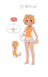 Rule 34 | 100 percent orange juice, 1girl, :d, animal ear fluff, animal ears, bare arms, bare legs, bare shoulders, barefoot, brown eyes, brown hair, casual one-piece swimsuit, collar, commentary request, covered navel, dog ears, dog girl, dog tail, hair between eyes, hono, innertube, multiple views, official art, one-piece swimsuit, open mouth, orange one-piece swimsuit, qp (orange juice), qp shooting, red collar, simple background, smile, swim ring, swimsuit, tail, tan, translation request, white background