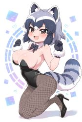 Rule 34 | alternate costume, animal ears, black bow, black bowtie, black footwear, black gloves, black leotard, blush, bow, bowtie, brown eyes, commentary request, common raccoon (kemono friends), detached collar, extra ears, fang, fishnets, fur trim, gloves, grey hair, heart, high heels, kemono friends, kneeling, leotard, multicolored hair, nontraditional playboy bunny, open mouth, pantyhose, playboy bunny, raccoon ears, raccoon girl, raccoon tail, ransusan, short hair, solo, strapless, strapless leotard, tail, white fur, white hair