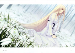 Rule 34 | 1girl, absurdly long hair, absurdres, blonde hair, caucasus, dress, flower, forest, highres, holding, holding flower, long hair, looking at viewer, nanatsuki shion, nature, outdoors, red eyes, sitting, solo, sugina miki, tree, very long hair, white dress