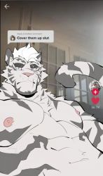 Rule 34 | 1boy, animal ears, arknights, bara, cover them up slut (meme), flat color, from below, furry, furry male, highres, kafka (arknights), large pectorals, looking at viewer, male focus, mature male, meme, meru tenshi, mountain (arknights), muscular, muscular male, nipples, nude, pectoral focus, pectorals, scar, scar across eye, scar on face, short hair, sideburns, solo, tail, tail raised, tiger boy, tiger ears, tiger tail, tiktok, upper body, white fur, white hair