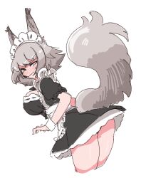 Rule 34 | 1girl, alternate costume, animal ears, apron, arknights, ashlock (arknights), ass, black dress, blush, breasts, commentary, cropped legs, dress, embarrassed, enmaided, grey eyes, grey hair, large breasts, looking at viewer, looking back, maid, maid headdress, nikukabe, oripathy lesion (arknights), short hair, simple background, solo, squirrel ears, squirrel girl, squirrel tail, sweat, tail, waist apron, white apron, white background, white wrist cuffs