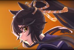 Rule 34 | 1girl, animal ears, bandaid, bandaid on face, bandaid on nose, black hair, commentary, hair between eyes, highres, horse ears, horse girl, long hair, looking at viewer, mouth hold, narita brian (umamusume), orange background, parted lips, ponytail, portrait, sidelocks, simple background, solo, stalk in mouth, thin (suzuneya), umamusume, yellow eyes