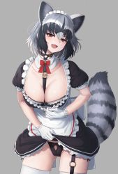 Rule 34 | 1girl, :d, absurdres, animal ears, apron, between breasts, black bra, black hair, black panties, bow, bow bra, bow panties, bra, breasts, brown eyes, collar, collarbone, common raccoon (kemono friends), cowboy shot, deku suke, detached collar, extra ears, fang, frilled apron, frilled skirt, frills, gloves, grey background, grey hair, hair between eyes, head tilt, highres, japari symbol, kemono friends, large breasts, lifted by self, looking at viewer, maid, medium hair, multicolored hair, o-ring, open mouth, panties, puffy short sleeves, puffy sleeves, raccoon ears, raccoon girl, raccoon tail, short sleeves, simple background, skin fang, skindentation, skirt, smile, solo, strap between breasts, striped tail, tail, thighhighs, underwear, waist apron, white gloves, white thighhighs