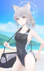 Rule 34 | 1girl, animal ear fluff, animal ears, bag, beach, blue archive, blue eyes, blue sky, breasts, cloud, commentary request, competition swimsuit, contrapposto, covered navel, cowboy shot, cross hair ornament, day, extra ears, grey hair, hair ornament, halo, highres, looking at viewer, medium breasts, medium hair, mintz912, mountain, ocean, one-piece swimsuit, outdoors, shiroko (blue archive), shiroko (swimsuit) (blue archive), sky, solo, standing, swimsuit