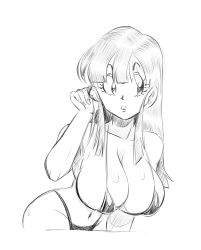 Rule 34 | 1girl, ass, breasts, chi-chi (dragon ball), dragon ball, dragonball z, female focus, funsexydragonball, highres, large breasts, monochrome, source request, swimsuit