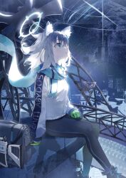 Rule 34 | 1girl, animal ears, bag, bicycle, blue archive, blue eyes, building, dd9, english text, gloves, green gloves, halo, highres, jacket, night, night sky, pants, scarf, shiroko (blue archive), shoes, sitting, sky, sneakers, solo, star (sky), starry sky, track pants, white hair, wolf ears