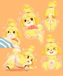 Rule 34 | &gt; &lt;, 1boy, 1girl, 2021, absurdres, animal crossing, animal ears, animal nose, anus, artist logo, ass, bell, black eyes, blonde hair, blush, blush stickers, breasts, cleft of venus, closed eyes, collarbone, cum, cum in ass, cum in mouth, cum in pussy, dated, disembodied penis, dog ears, dog girl, dog tail, ejaculation, fellatio, female ejaculation, full body, furry, furry female, furry with non-furry, hair bell, hair ornament, highres, interspecies, isabelle (animal crossing), jingle bell, leaf print, looking back, medium breasts, motion lines, navel, nintendo, nipples, nude, open mouth, oral, orange background, outline, penis, pussy, pussy juice, sake kemosalmon, sex, shiny skin, shirt, short sleeves, smile, solo focus, spread legs, tail, teeth, testicles, thick thighs, thighs, tongue, top-down bottom-up, topknot, uncensored, upper teeth only, vaginal