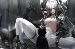 Rule 34 | 1girl, animal, animal ear fluff, animal ears, arknights, arms up, black cat, black footwear, black jacket, breasts, cat, cat ears, fangs, feet out of frame, grey hair, hair over one eye, haowei wu, highres, jacket, large breasts, leaning back, long hair, looking at viewer, navel, no bra, official alternate costume, on ground, open clothes, open jacket, open mouth, outdoors, pants, rain, schwarz (arknights), schwarz (skyline) (arknights), sitting, solo, spread legs, thigh strap, tight clothes, tight pants, unzipped, v-shaped eyebrows, very long hair, white pants, yellow eyes