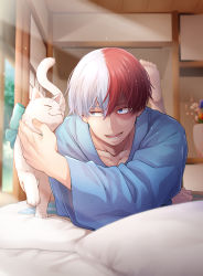 1boy, :d, absurdres, bangs, blue eyes, blue flower, boku no hero academia, bow, burn scar, cat, collarbone, commentary request, day, flower, green bow, grey eyes, heterochromia, highres, huge filesize, indoors, lying, male focus, multicolored hair, on stomach, open mouth, pillow, red hair, scar, smile, solo, todoroki shouto, tonomayo, two-tone hair, white flower, white hair