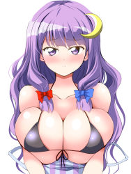 Rule 34 | 1girl, bikini, black bikini, blue bow, blunt bangs, blush, bow, breasts, closed mouth, collarbone, crescent, crescent hair ornament, deego (omochi bazooka), hair bow, hair ornament, highres, huge breasts, long hair, patchouli knowledge, purple eyes, purple hair, red bow, simple background, solo, striped, swimsuit, touhou, upper body, vertical stripes, white background