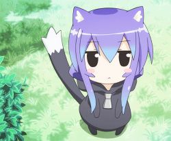 Rule 34 | 1girl, acchi kocchi, animal ears, animated, animated gif, blue hair, blush, cat ears, cat girl, cat tail, chibi, female focus, grass, hood, hoodie, long hair, looking at viewer, lowres, miniwa tsumiki, open mouth, outdoors, plant, screencap, standing, straight hair, sweater, tail, tail wagging