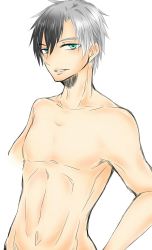 Rule 34 | 1boy, green eyes, grey hair, kyousuke1008, looking at viewer, ludger will kresnik, male focus, multicolored hair, naughty face, nude, solo, tales of (series), tales of xillia, tales of xillia 2, two-tone hair, upper body