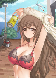 Rule 34 | 00s, 1girl, alcohol, aokihoshi, armpits, arms up, beer, blue sky, bra, breasts, brown eyes, brown hair, can, cleavage, cloud, cloudy sky, crossover, day, highres, holding, holding can, kiyama harumi, large breasts, lingerie, long hair, nyamsas, nyan koi!, open clothes, open shirt, outdoors, shirt, sky, solo, tanaka atsuko, toaru kagaku no railgun, toaru majutsu no index, topless, underwear, upper body, voice actor connection, wind turbine, windmill