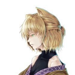 Rule 34 | 1girl, animal ears, bare shoulders, baten (gei-vorugu), collarbone, face, female focus, green eyes, half updo, highres, kemonomimi mode, lips, mizuhashi parsee, parted lips, profile, simple background, solo, touhou