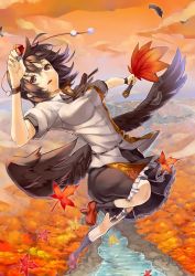 Rule 34 | 1girl, bad id, bad pixiv id, black hair, expressionless, feathers, flying, forest, hand fan, hat, hauchiwa, leaf, leaf print, looking at viewer, maple leaf, nature, open mouth, red eyes, river, scottie (phantom2), shameimaru aya, short hair, skirt, solo, tokin hat, touhou, tree, wings