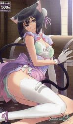 Rule 34 | 10s, 1girl, animal ears, asymmetrical clothes, black hair, breasts, cat ears, cat tail, china dress, chinese clothes, cleavage, dress, gloves, official art, ribbon, scan, scan artifacts, sega, shaomei rin, shining (series), shining hearts, shining world, shirt, short dress, short hair, single thighhigh, solo, tail, taut clothes, taut shirt, thighhighs, tony taka, white thighhighs, yellow eyes