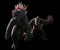 Rule 34 | animated, animated gif, ape, b.e.a.s.t. glove, crossover, dinosaur, elbow blade, elbow spikes, electroshock weapon, fangs, gauntlets, giant, giant monster, glowing, glowing eyes, glowing spikes, godzilla, godzilla (series), godzilla and kong running (meme), godzilla evolved, godzilla x kong: the new empire, gorilla, kaijuu, king kong, king kong (series), legendary pictures, meme, monster, monsterverse, no humans, no pupils, open mouth, pink eyes, running, scar, scar on chest, scar on stomach, sharp teeth, spiked tail, tail, teeth, toho, tongue, transparent background, weapon
