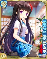 1girl :o black_hair blue_skirt card_(medium) day flower flower_pot girlfriend_(kari) hair_flower hair_ornament indoors long_hair official_art pantyhose plaid_clothes plaid_skirt pleated_skirt purple_eyes qp:flapper school_uniform shiranui_isuzu shirt sitting skirt solo very_long_hair white_shirt