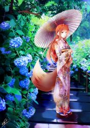 Rule 34 | 1girl, alternate costume, animal ear fluff, animal ears, back bow, blue flower, bow, brown hair, flower, fudo shin, full body, grin, holding, holding umbrella, holo, hydrangea, japanese clothes, kimono, long hair, looking at viewer, oil-paper umbrella, print kimono, red bow, red eyes, signature, smile, solo, spice and wolf, standing, straight hair, tabi, tail, umbrella, white legwear, white umbrella, wolf ears, wolf tail