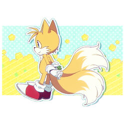 Rule 34 | 1boy, animal ears, animal nose, banri 0917, blue eyes, body fur, closed mouth, clover, commentary request, four-leaf clover, fox boy, fox ears, fox tail, full body, furry, furry male, gloves, holding, holding clover, korean commentary, male focus, multiple tails, red footwear, shoes, smile, solo, sonic (series), standing, tail, tails (sonic), two tails, white gloves