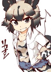 Rule 34 | 1girl, 370ml, african wild dog (kemono friends), african wild dog print, animal ears, arm at side, black eyes, black hair, collared shirt, cowboy shot, cutoffs, dog ears, dog girl, dog tail, dutch angle, grey hair, grin, hand on own hip, highres, kemono friends, layered sleeves, long sleeves, medium hair, multicolored hair, open clothes, open shirt, pantyhose, print pantyhose, print shirt, shirt, short over long sleeves, short shorts, short sleeves, shorts, smile, solo, tail, two-tone hair, undershirt, v-shaped eyebrows, wing collar