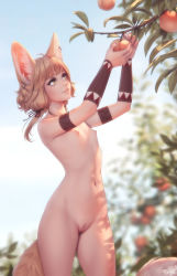 Rule 34 | 1girl, alternate costume, animal ear fluff, animal ears, blonde hair, blurry, blurry background, branch, breasts, cleft of venus, commentary, cowboy shot, day, ear piercing, english commentary, food, fruit, highres, jewelry, khiara (personal ami), leaf, light smile, long hair, looking away, low twintails, navel, necklace, nipples, nude, original, outdoors, peach, personal ami, picking fruit, piercing, pussy, small breasts, solo, tail, twintails, uncensored, yellow eyes