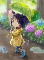 Rule 34 | 1girl, animal ears, bad id, bad pixiv id, blue eyes, blue flower, boots, flower, highres, hydrangea, leaf, leaf umbrella, looking at viewer, mouse ears, mouse girl, mouse tail, original, puddle, purple flower, purple hair, rain, raincoat, rubber boots, shinbiko, short hair, smile, solo, tail, tan, umbrella