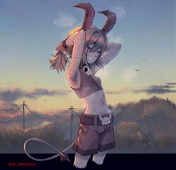 Rule 34 | 1girl, absurdres, animal, arms up, bandaged arm, bandages, belt, bird, blue sky, breasts, brown belt, brown hair, brown shorts, closed eyes, cloud, commission, cropped legs, demon horns, demon tail, grin, groin, highres, horns, low twintails, medium hair, navel, original, outdoors, popopoka, shorts, sky, small breasts, smile, solo, stomach, tail, twintails