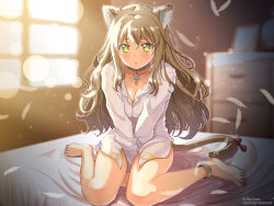 Rule 34 | 1girl, animal ears, ankleband, anklet, barefoot, between thighs, breasts, brown hair, cat ears, cat tail, cleavage, collar, dress shirt, feathers, gradient background, highres, indoors, jewelry, kimura shigetaka, long hair, original, ribbon, shirt, sitting, solo, tail, tail ornament, tail ribbon, wariza, yellow eyes