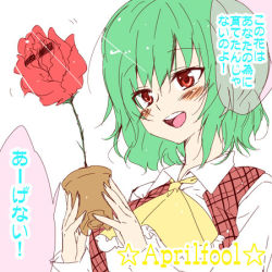 Rule 34 | 1girl, april fools, ascot, blush, female focus, flower, kazami yuuka, lowres, open mouth, plaid, plaid vest, plant, potted plant, red flower, red rose, riku yama, rose, smile, solo, sunglasses, thorns, touhou, translation request, upper body, vest