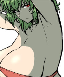 1girl armpits breasts green_hair henriiku_(ahemaru) huge_breasts kazami_yuuka looking_at_viewer red_eyes short_hair simple_background solo touhou white_background