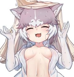 Rule 34 | 1girl, :d, ^ ^, animal ear fluff, animal ears, breasts, breasts apart, closed eyes, collarbone, commentary request, dog (mixed breed) (kemono friends), dog ears, dress shirt, elbow gloves, closed eyes, facing viewer, fang, gloves, grey hair, hand on another&#039;s head, hands up, kemono friends, medium breasts, multicolored hair, navel, nyifu, open clothes, open mouth, open shirt, shirt, short hair, simple background, smile, solo focus, teeth, towel, two-tone hair, upper body, water, wet, wet clothes, wet hair, white background, white gloves, white shirt, wing collar, wiping