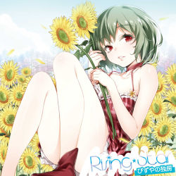 Rule 34 | 1girl, adapted costume, album cover, alternate costume, bare legs, bare shoulders, boots, breasts, buriki, cleavage, cover, dress, female focus, flower, green hair, kazami yuuka, legs, red eyes, short hair, sitting, small breasts, smile, solo, sunflower, touhou
