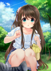 Rule 34 | 1girl, bag, blue eyes, blue sky, blush, brown hair, cat, chestnut mouth, cloud, convenient censoring, day, flower, grass, hair flower, hair ornament, handbag, highres, kanzume shima, long hair, looking at viewer, one side up, open mouth, outdoors, skirt, sky, solo, squatting, tamasaka makoto, tokyo 7th sisters, tree, very long hair