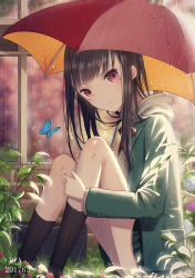 Rule 34 | 1girl, :|, absurdres, artist name, black skirt, black socks, blunt bangs, blush, bow, bowtie, bug, butterfly, closed mouth, commentary request, dated, flower, from side, green jacket, hand on own leg, head tilt, highres, holding, holding umbrella, hood, hood down, hooded jacket, hydrangea, insect, jacket, kneehighs, knees up, leaf, light smile, lips, long hair, long sleeves, looking at viewer, looking to the side, miniskirt, on ground, open clothes, open jacket, original, outdoors, plant, rain, red bow, red bowtie, red eyes, red umbrella, saikou-iro aurora, sitting, skinny, skirt, socks, solo, sunlight, thighs, umbrella, water, water drop