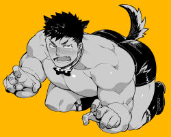 Rule 34 | 1boy, abs, animal ears, ass, bara, bare pectorals, black eyes, black hair, bow, bowtie, boxers, dog boy, dog ears, dog tail, full body, greyscale, highres, large pectorals, looking at viewer, male focus, male underwear, monochrome, muscular, naop (anything), navel, nipples, orange theme, original, paw pose, pectorals, topless male, short hair, solo, tail, tearing up, thighs, underwear, yellow background