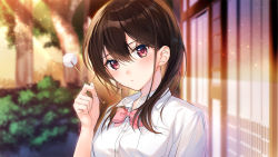 Rule 34 | 1girl, blurry, blurry background, blush, bow, bowtie, brown eyes, brown hair, building, bush, day, hand up, long hair, looking at viewer, mimikaki, mochiko (mochiko3121), official art, outdoors, pink bow, shirt, solo, standing, sunlight, upper body, white shirt