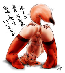 Rule 34 | animal ears, anus, ass, ass grab, blush, breasts, brown eyes, fox ears, large breasts, nail polish, newhalf, orange hair, penis, red hair, solail (faya), spread ass, tail, testicles, thighhighs, top-down bottom-up, translated