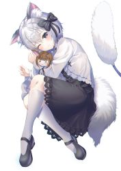 Rule 34 | 1girl, animal ear fluff, animal ears, black bow, black dress, black footwear, blue eyes, blush, bow, cat ears, cat teaser, closed mouth, collared dress, commentary request, dress, fang, fang out, full body, hair between eyes, hair bow, highres, hyonee, jacket, kneehighs, long sleeves, mary janes, hugging object, one eye closed, original, shoes, silver hair, simple background, socks, solo, stuffed animal, stuffed rabbit, stuffed toy, tail, white background, white jacket, white socks