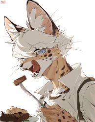Rule 34 | 1boy, animal ear fluff, blouse, blue eyes, cheetah boy, cheetah ears, eating, eyes visible through hair, fangs, fish7163, food, fork, furry, furry male, highres, holding, holding fork, male focus, meat, open clothes, open mouth, open shirt, original, plate, shirt, simple background, slit pupils, solo, steak, teeth, whiskers, white background, white hair, white shirt