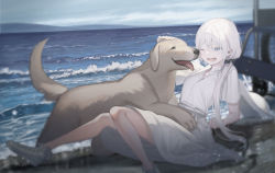 Rule 34 | 1girl, animal, arm support, blurry, cloud, cloudy sky, collarbone, collared dress, commentary request, day, dog, dress, foot out of frame, grey eyes, hair between eyes, hat, highres, horizon, knees up, kururi, leaning back, long hair, looking at animal, ocean, one eye closed, original, outdoors, petting, scrunchie, shoes, short sleeves, sitting, sky, smile, sneakers, solo, unworn headwear, water, waves, white dress, white footwear, white hair, white hat