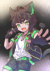 Rule 34 | + +, 1boy, absurdres, animal ears, belt, black gloves, black jacket, black shorts, cat boy, cat ears, cat tail, cowboy shot, fingerless gloves, gloves, green belt, green eyes, highres, holding, holding microphone, jacket, jewelry, kylin gin, looking at viewer, luo xiaohei, luo xiaohei (cat), luo xiaohei (human), luo xiaohei zhanji, microphone, necklace, open mouth, shirt, short sleeves, shorts, smile, solo, tail, white shirt, yellow pupils