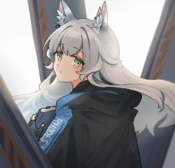 Rule 34 | 1girl, animal ear fluff, animal ears, arknights, black gloves, black jacket, book, cat ears, clothes writing, fingerless gloves, floating hair, gloves, green eyes, grey hair, highres, holding, holding book, jacket, long hair, looking at viewer, looking back, mabing, rosmontis (arknights), solo, upper body, white background