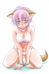 Rule 34 | 1girl, animal ears, arm support, barefoot, bdsm, blush, bob cut, bondage, bound, bra, breasts, cameltoe, cleavage, cleavage cutout, clothing cutout, cuffs, dog ears, dog tail, covered erect nipples, handcuffs, kneeling, large breasts, leaning forward, lingerie, navel, original, panties, pink hair, purple eyes, sabusuka, short hair, solo, sports bra, tail, underwear
