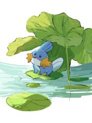 Rule 34 | absurdres, animal focus, black eyes, creatures (company), full body, game freak, gen 3 pokemon, highres, lily pad, looking up, mudkip, nintendo, no humans, open mouth, outdoors, pokemon, pokemon (creature), solo, standing, taishinten, water