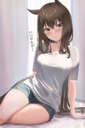 Rule 34 | 1girl, admire vega (umamusume), alternate costume, blush, brown hair, closed mouth, commentary request, curtains, hair between eyes, highres, long hair, ponytail, purple eyes, ryouta (ryouta335), shirt, shorts, solo, thighs, translation request, umamusume