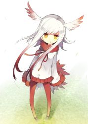 Rule 34 | 10s, 1girl, akimaki yuu, black footwear, blunt bangs, full body, fur collar, gloves, head wings, highres, japanese crested ibis (kemono friends), kemono friends, long hair, long sleeves, looking at viewer, miniskirt, multicolored hair, open mouth, pantyhose, pleated skirt, red hair, red pantyhose, red skirt, shirt, shoes, sidelocks, skirt, solo, tail, two-tone hair, white hair, white shirt, wide sleeves, wings, yellow eyes